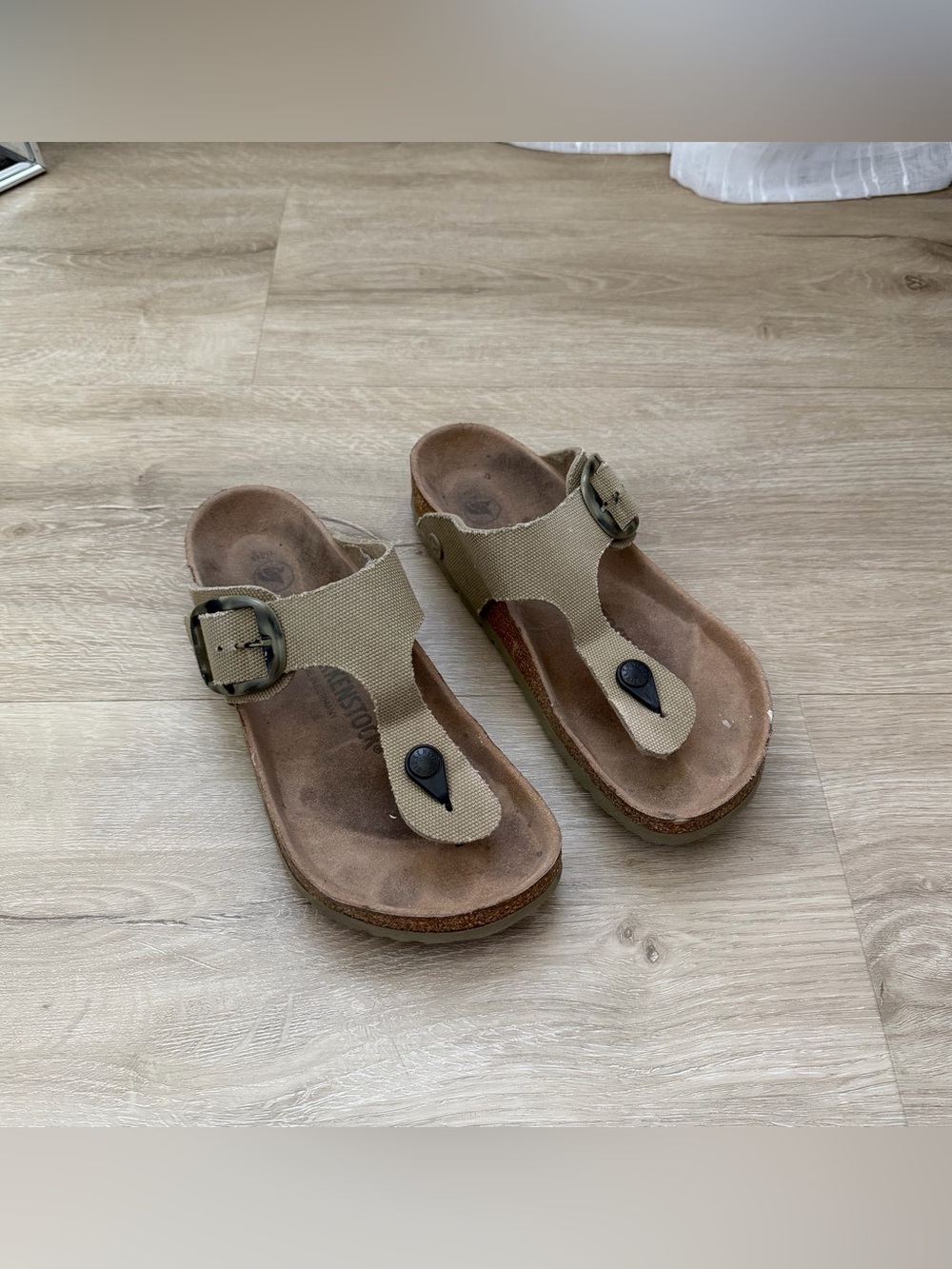 Birkenstock Gizeh Big Buckle Canvas Sandal in Faded Khaki in size 7